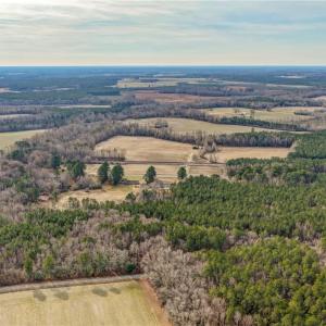 Photo #7 of 8189 Windsor Boulevard, Zuni, Virginia 86.7 acres