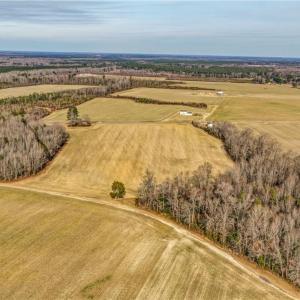 Photo #6 of 18423 Tomlin Hill Drive, Zuni, Virginia 34.0 acres