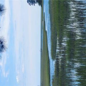 Photo #17 of 7472 Seaside Road, Eastville, Virginia 30.9 acres