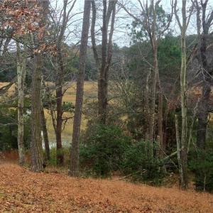 Photo #18 of 7472 Seaside Road, Eastville, Virginia 30.9 acres