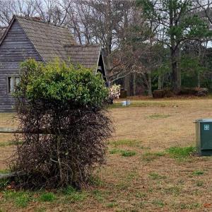 Photo #20 of 7472 Seaside Road, Eastville, Virginia 30.9 acres