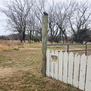 Photo #22 of 7472 Seaside Road, Eastville, Virginia 30.9 acres