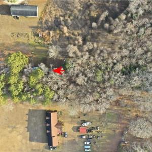 Photo #10 of 21118 Bethel Road, Courtland, Virginia 9.0 acres