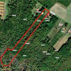 Photo #13 of 21118 Bethel Road, Courtland, Virginia 9.0 acres
