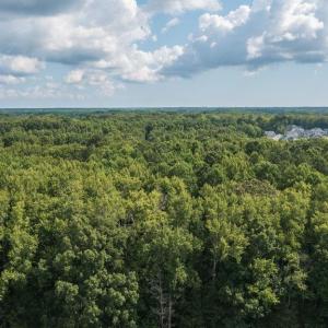 Photo #27 of Lot 1 Princess Anne Road, Virginia Beach, Virginia 0.9 acres