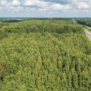 Photo #10 of Lot 3 Princess Anne Road, Virginia Beach, Virginia 0.7 acres