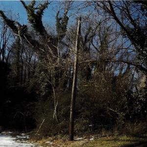 Photo #2 of Lot 59 Bethlehem Street, Suffolk, Virginia