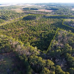 Photo #1 of Salem Church Road, Mathews, Virginia 31.3 acres