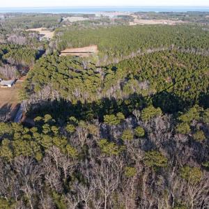 Photo #6 of 25+AC Salem Church Road, Mathews, Virginia 31.3 acres