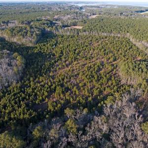 Photo #8 of 25+AC Salem Church Road, Mathews, Virginia 31.3 acres
