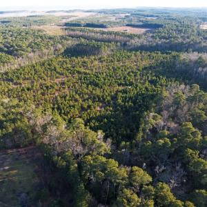 Photo #10 of 25+AC Salem Church Road, Mathews, Virginia 31.3 acres