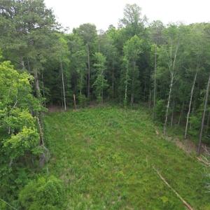 Photo #2 of 1813 Shillelagh Road, Chesapeake, Virginia 7.4 acres