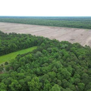 Photo #13 of 1813 Shillelagh Road, Chesapeake, Virginia 7.4 acres