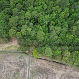 Photo #4 of 1813 Shillelagh Road, Chesapeake, Virginia 7.4 acres