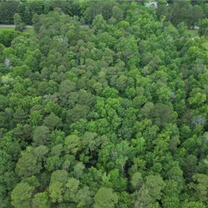 Photo #5 of 1813 Shillelagh Road, Chesapeake, Virginia 7.4 acres