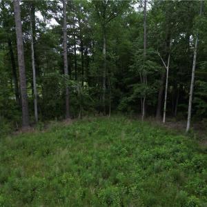 Photo #8 of 1813 Shillelagh Road, Chesapeake, Virginia 7.4 acres