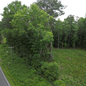 Photo #9 of 1813 Shillelagh Road, Chesapeake, Virginia 7.4 acres