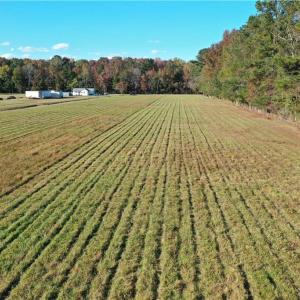 Photo #12 of 4809 Sondej Avenue, Chesapeake, Virginia 6.0 acres
