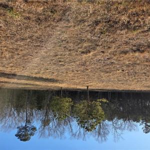 Photo #2 of 4 Sandy Hill Road, Courtland, Virginia 0.5 acres