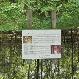 Photo #10 of 4 Sandy Hill Road, Courtland, Virginia 0.5 acres