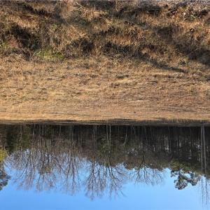 Photo #2 of 3 Sandy Hill Road, Courtland, Virginia 0.5 acres