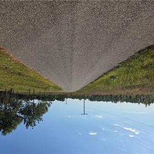 Photo #5 of 3 Sandy Hill Road, Courtland, Virginia 0.5 acres