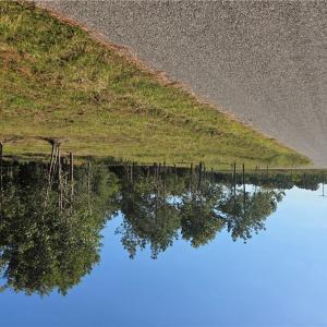 Photo #6 of 3 Sandy Hill Road, Courtland, Virginia 0.5 acres