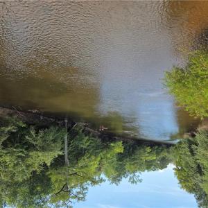 Photo #9 of 3 Sandy Hill Road, Courtland, Virginia 0.5 acres