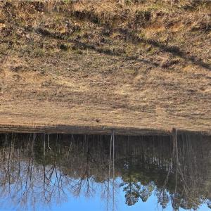 Photo #1 of 2 Sandy Hill Road, Courtland, Virginia 0.5 acres