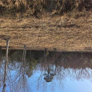 Photo #1 of 5 Sandy Hill Road, Courtland, Virginia 0.5 acres