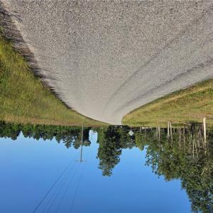 Photo #3 of 5 Sandy Hill Road, Courtland, Virginia 0.5 acres