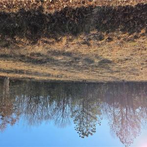 Photo #1 of 7 Sandy Hill Road, Courtland, Virginia 0.5 acres