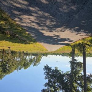 Photo #4 of 7 Sandy Hill Road, Courtland, Virginia 0.5 acres