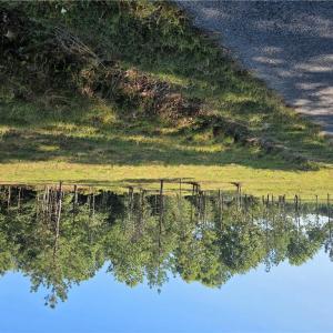 Photo #7 of 7 Sandy Hill Road, Courtland, Virginia 0.5 acres