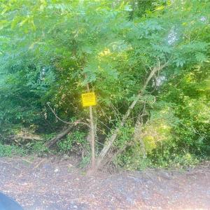 Photo #2 of .19 ac Railroad Avenue, Suffolk, Virginia 0.2 acres
