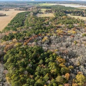 Photo #2 of 71.94 Seacock Chapel Road, Ivor, Virginia 71.9 acres
