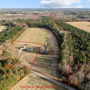 Photo #3 of 71.94 Seacock Chapel Road, Ivor, Virginia 71.9 acres