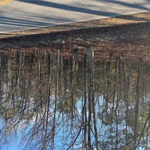 Photo #1 of Eleytown Road, Murfreesboro, North Carolina 7.9 acres