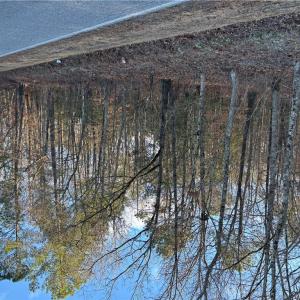 Photo #3 of Eleytown Road, Murfreesboro, North Carolina 7.9 acres