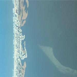 Photo #28 of 3665 Sandpiper Road, Virginia Beach, Virginia