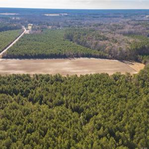 Photo #11 of 134ac Crumpler Road, Ivor, Virginia 134.8 acres