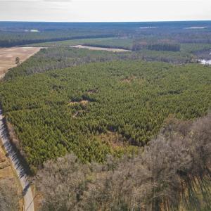 Photo #12 of 134ac Crumpler Road, Ivor, Virginia 134.8 acres