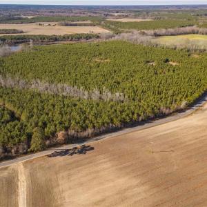 Photo #13 of 134ac Crumpler Road, Ivor, Virginia 134.8 acres