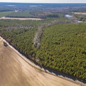 Photo #14 of 134ac Crumpler Road, Ivor, Virginia 134.8 acres