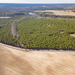 Photo #15 of 134ac Crumpler Road, Ivor, Virginia 134.8 acres