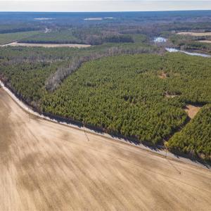 Photo #16 of 134ac Crumpler Road, Ivor, Virginia 134.8 acres