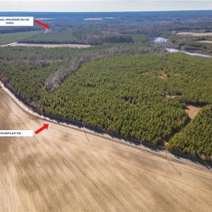 Photo #5 of 134ac Crumpler Road, Ivor, Virginia 134.8 acres