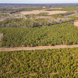 Photo #6 of 134ac Crumpler Road, Ivor, Virginia 134.8 acres