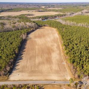 Photo #10 of 134ac Crumpler Road, Ivor, Virginia 134.8 acres