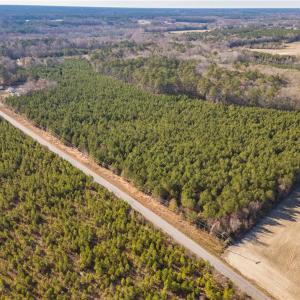 Photo #4 of 134ac Crumpler Road, Ivor, Virginia 134.8 acres